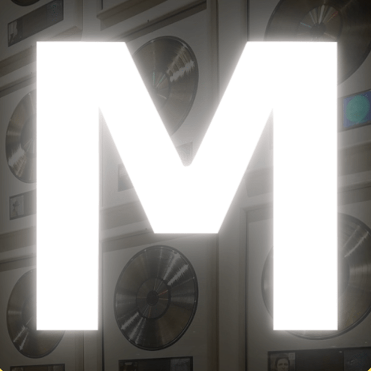 Music Industry Mentor